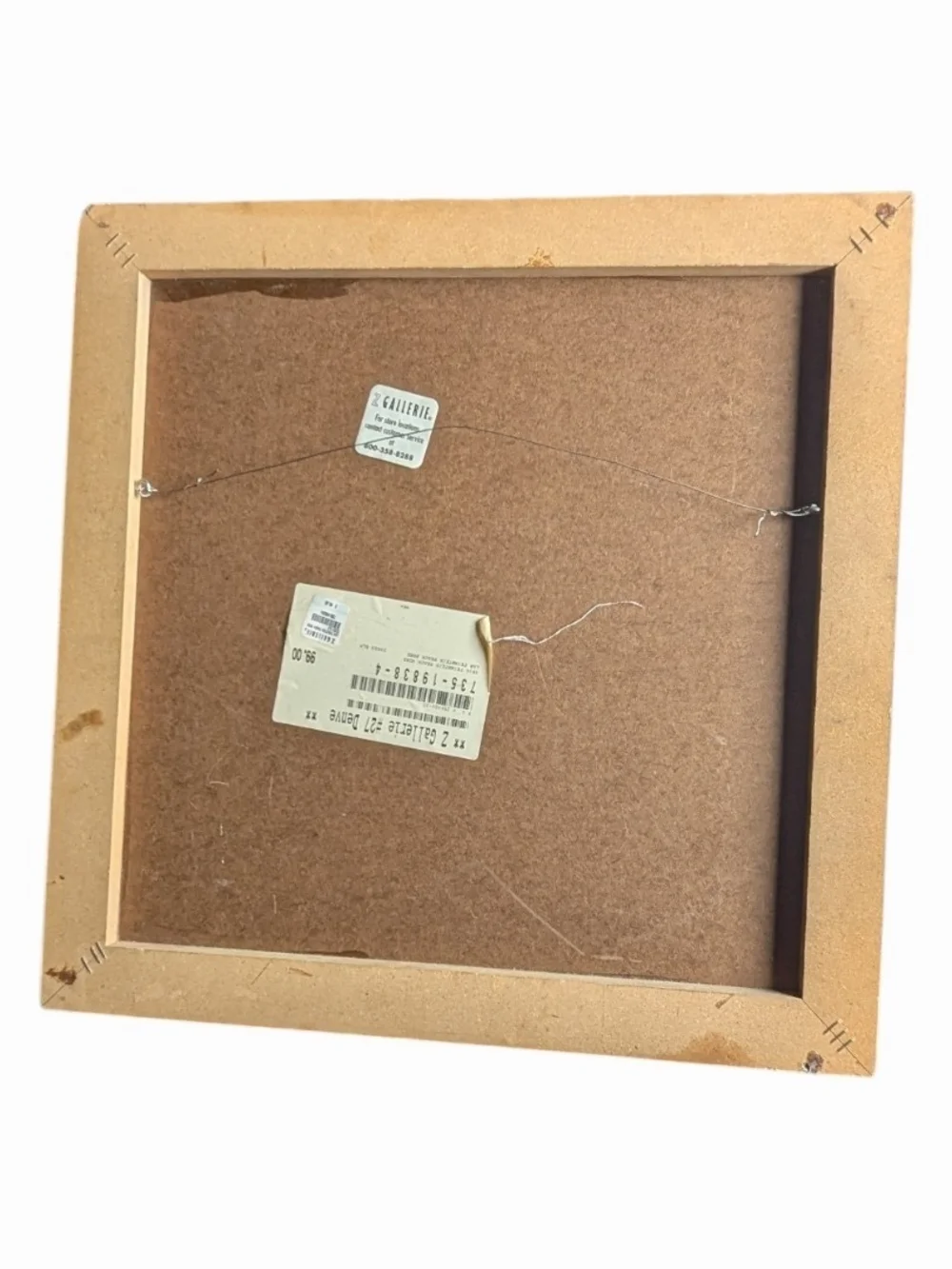 Z Gallerie Framed Wall Art — Brown Back Panel with Wire Hanger